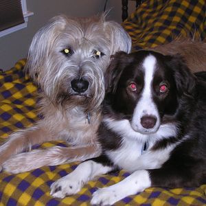 Meet your Posher, Mary clair